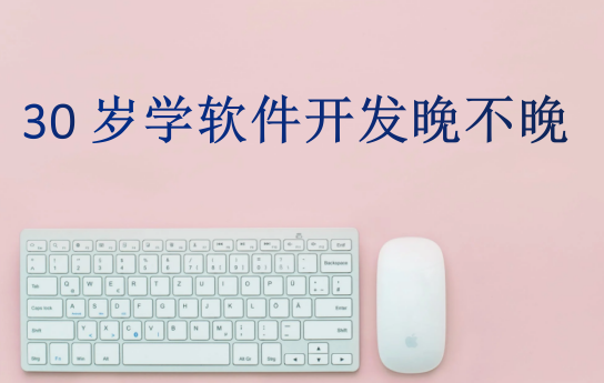 30歲學(xué)軟件開(kāi)發(fā)晚不晚