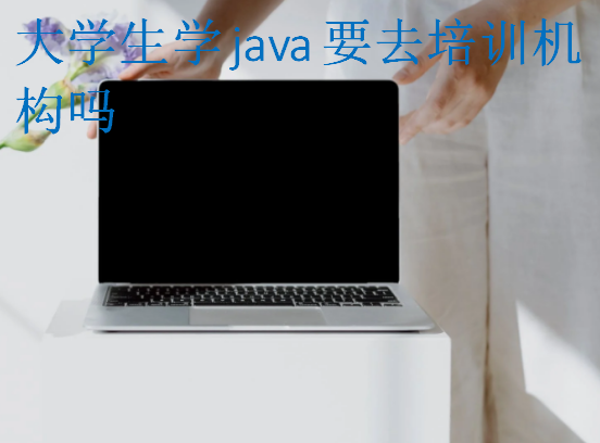 大學(xué)生學(xué)java要去培訓(xùn)機(jī)構(gòu)嗎