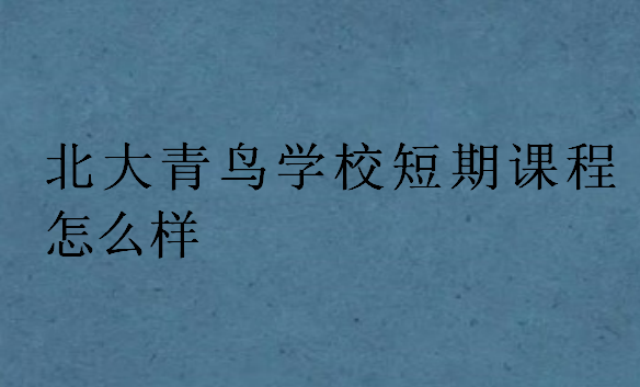 北大青鳥(niǎo)學(xué)校短期課程怎么樣