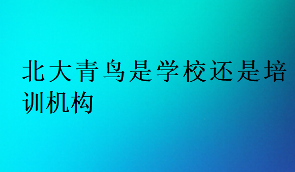 北大青鳥是學(xué)校還是培訓(xùn)機(jī)構(gòu)