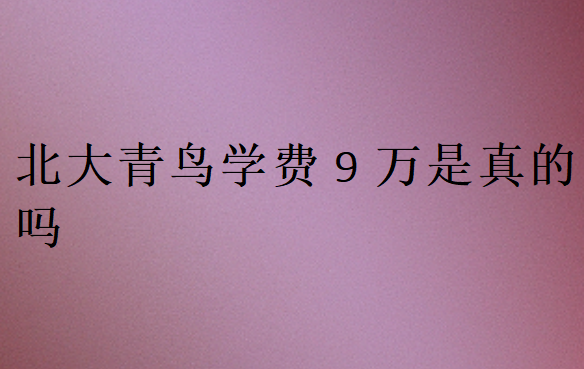 北大青鳥學(xué)費(fèi)9萬是真的嗎